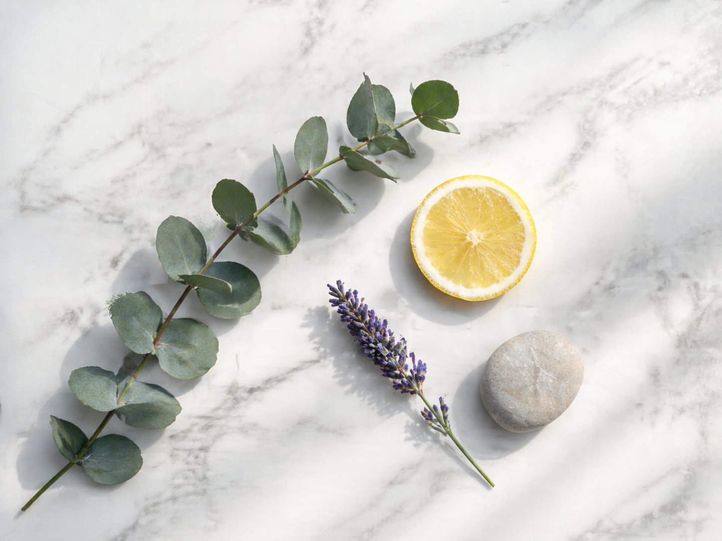 aromas-ambientador Ingredientes naturales para fragancias profesionales: eucalipto, limón y lavanda